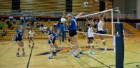 online-IMG_9950