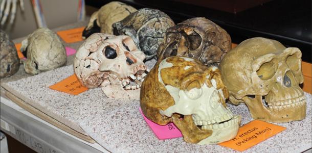 Anthropology department seeks to make education fun and exciting
