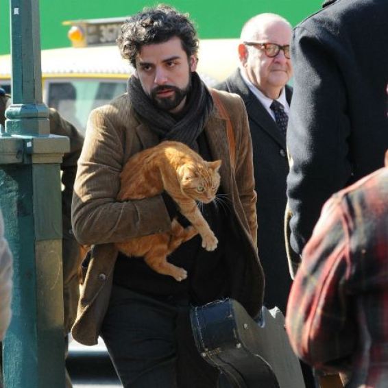 LLewyn Davis (Oscar Issacs), with one of two feline companions in tow, bounces around 1960s New York City trying to find his place in an increasingly difficult to live in world.