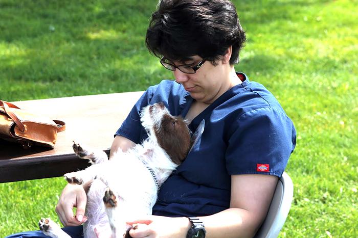 MacDuff, a terrier mix, spent a lazy hour communing with 24-year-old veterinary technician major, Lauren Vollucci, at the CRC pet adoption event on April 27. MacDuff is still available for adoption. 