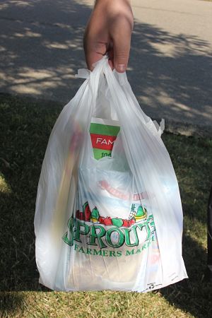 Ban on plastic grocery bags likely spreading statewide