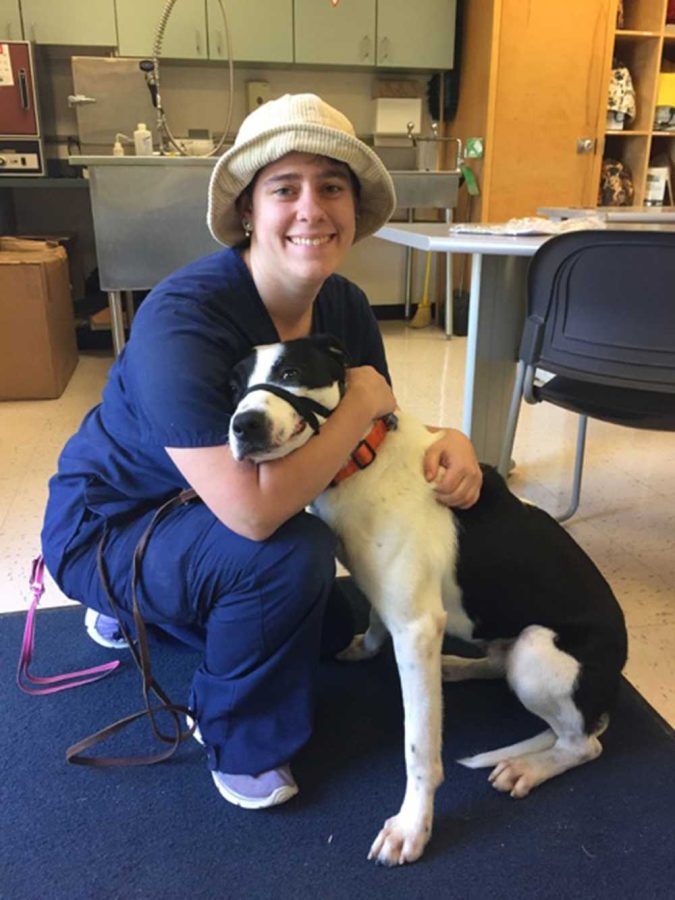 Veterinary+tech+major+Alex+Cahill+was+paired+with+Cosmo+the+dog+and+Annie+the+cat+at+the+start+of+the+fall+semester.+Cahill+was+responsible+for+training+and+caring+for+Cosmo+and+Annie+to+prepare+them+for+adoption.