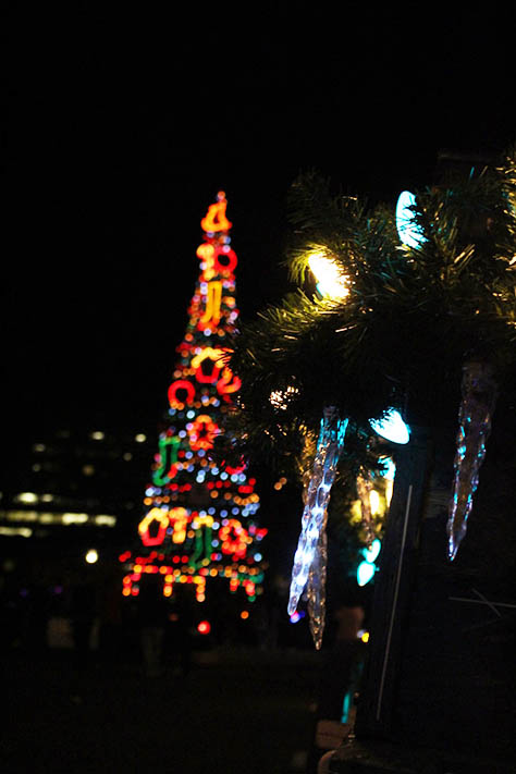 Macy's Theatre of Lights brings annual holiday light show to Sacramento
