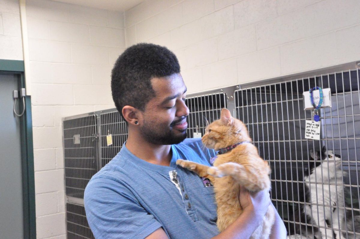 CRC Vet techs held adoption day for cats and dogs.