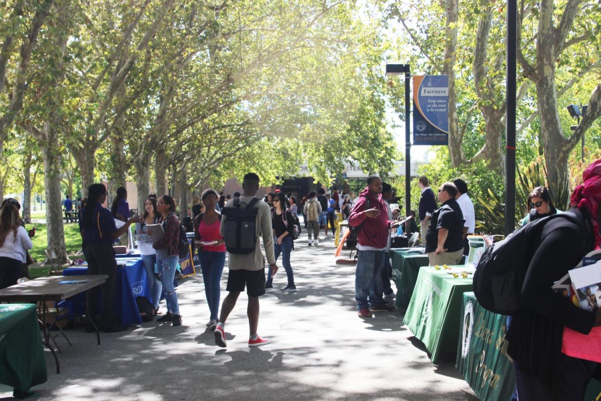 Students browse various university representatives at Transfer Day on Sept. 19.