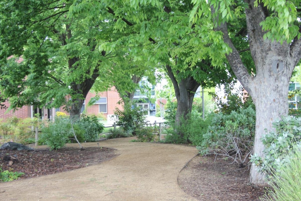 Professors host garden tour