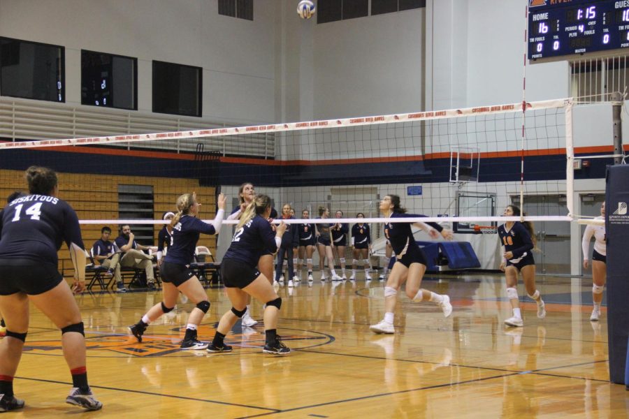 Freshman middle blocker Taryn Oberle sets up for a kill. Oberle is one of seven freshman who bring new talent and promise to the team. 