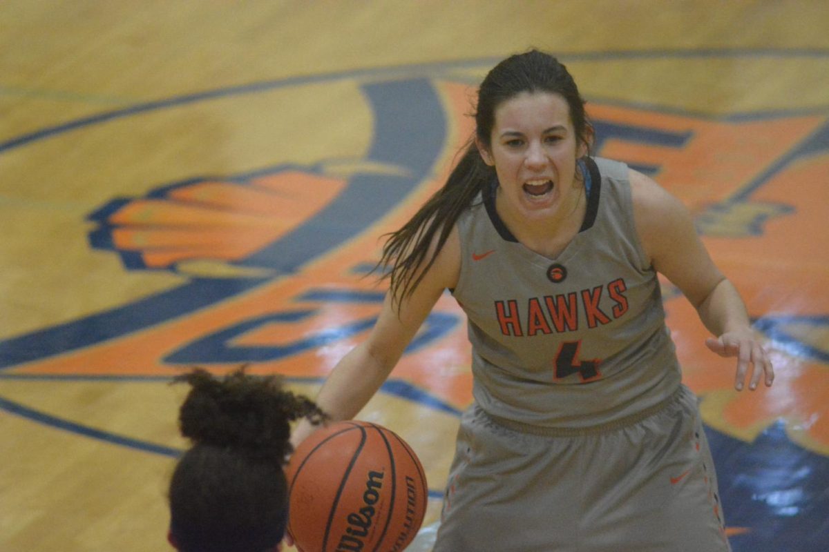 Brookelyn Larkin (above) led her team in almost every major offensive category, including points per game (19.8) and assists (97). She helped the Hawks improve drastically over last season, increasing their win total by eight.