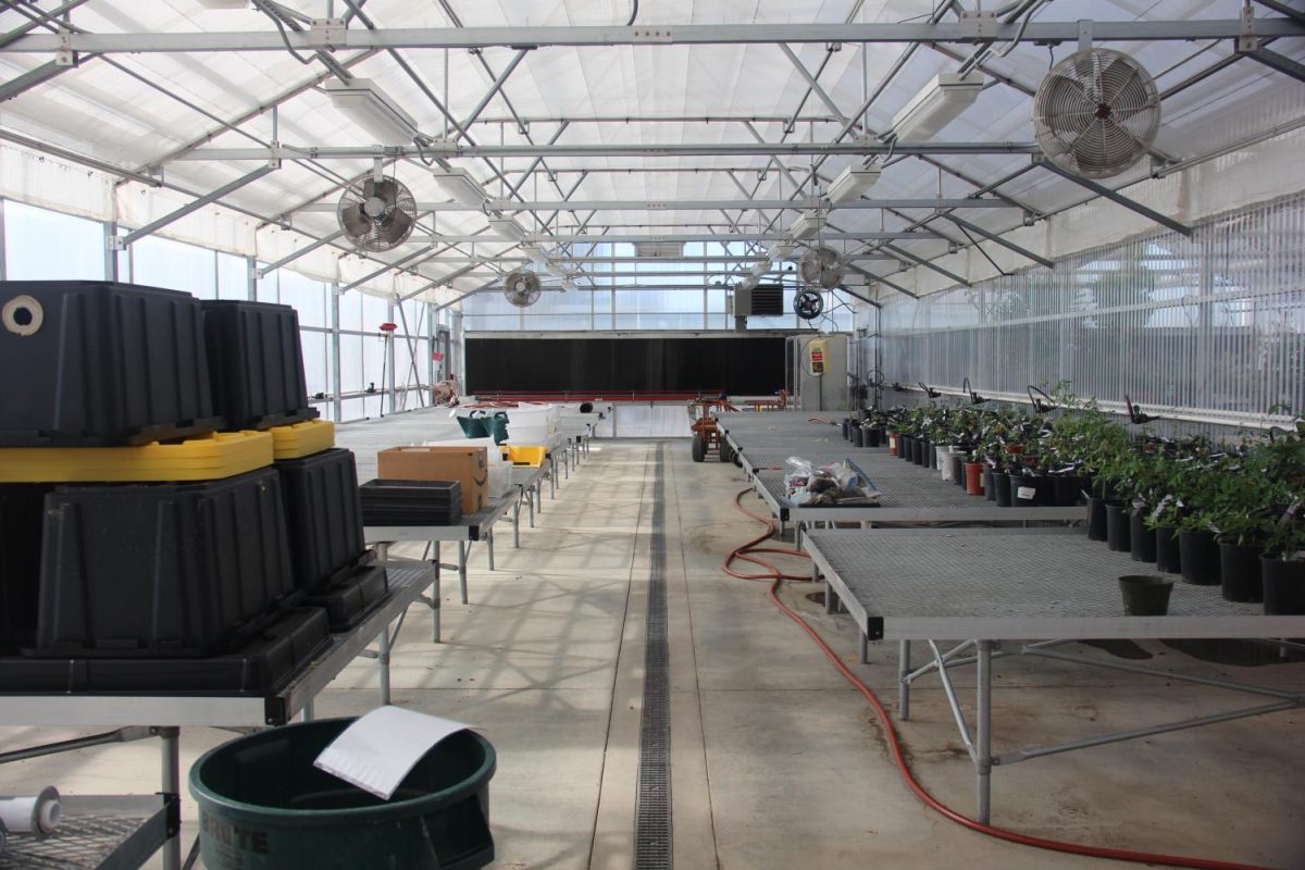 Due to a lack of students enrolling in the program that oversees the greenhouse, the Horticulture department and the Nutrition and Food department have teamed up and develop a Certificate of Proficiency in Plant-Based Nutrition and Sustainable Agriculture. This would also try to revive the greenhouse.