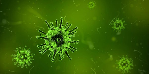 The virus known as Coronavirus, COVID-19, 2019-nCov and 2019 Novel Coronavirus is a respiratory illness. It is being encouraged to stay healthy by washing hands frequently, avoid touching eyes, nose or face and to stay home from school or work if you are sick. 