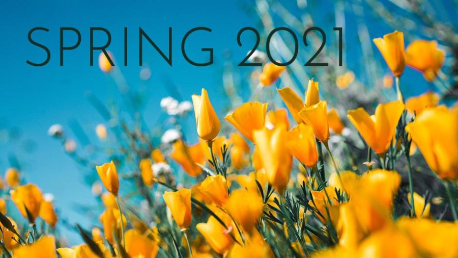 As we adapt to being online for the fall 2020 semester, the Los Rios Community College District announced that the spring 2021 semester will also be online.