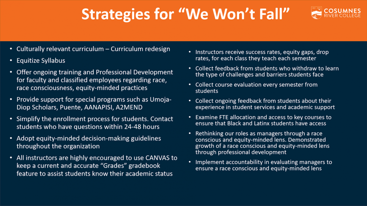 The+current+strategies+for+the+We+Wont+Fall+campaign.