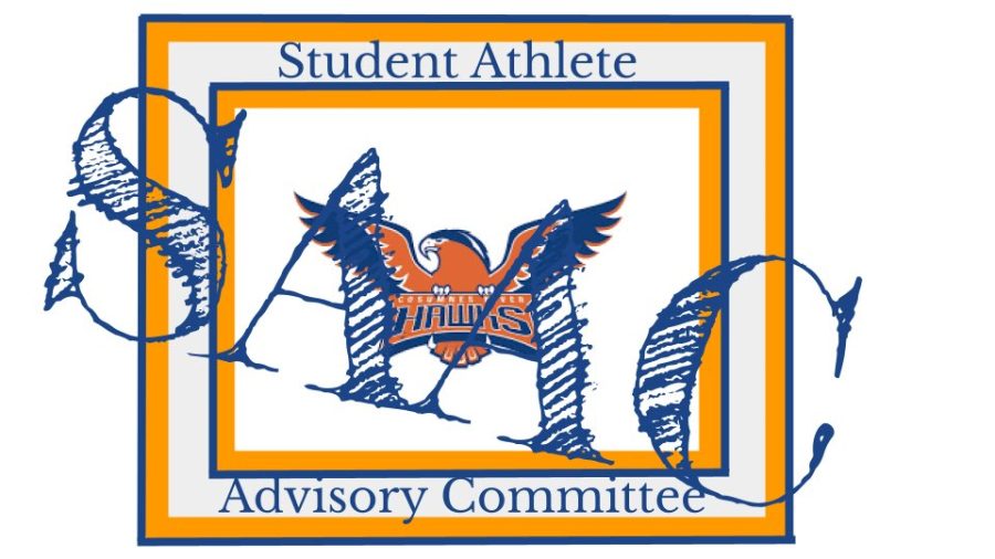 The Cosumnes River College athletic department launched a Student-Athlete Advisory Committee in February. The committee is aiming to promote effective communication between the athletic department and student-athletes, while also giving student-athletes a platform to share ways of improving their own athletic and academic success