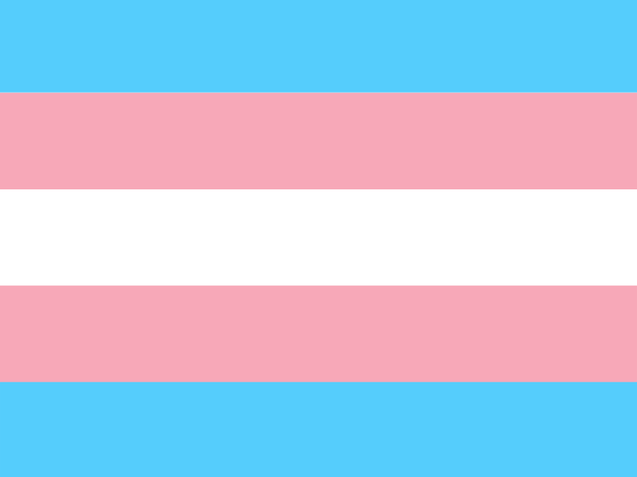 A+bill+suggested+by+Sen.+Scott+Wiener+%28D+-+San+Francisco%29+could+mark+California+as+a+sanctuary+for+transgender+youth+and+their+families+from+other+states.+Students+at+Cosumnes+River++College+expressed+support+for+the+bill+and+transgender+youth.