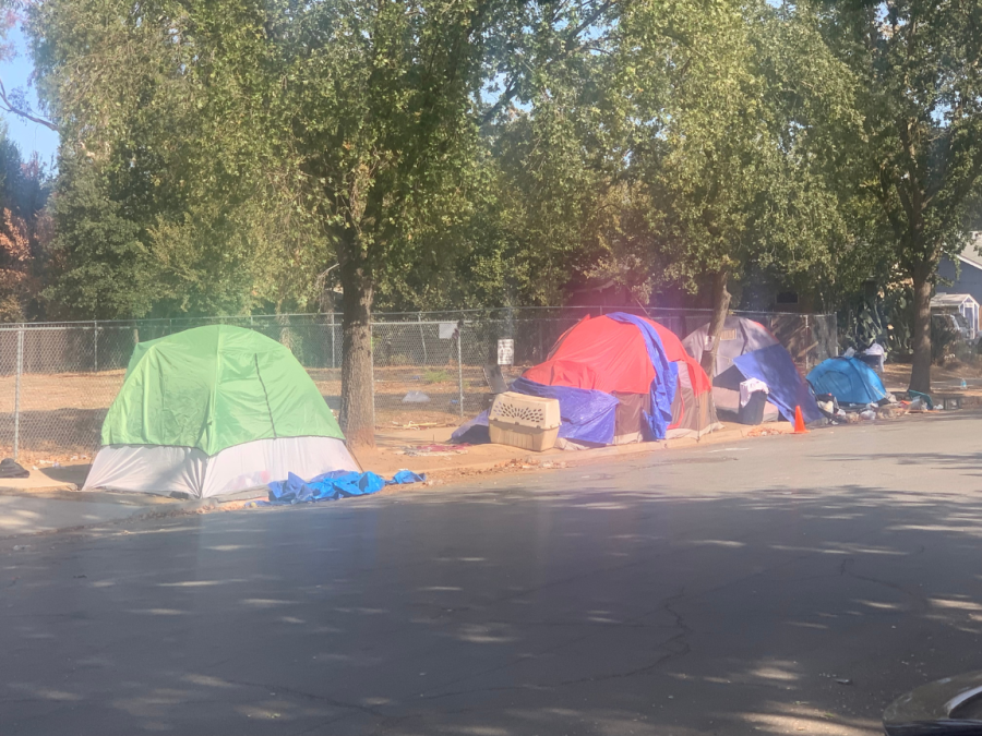 The+Associated+Press+published+an+article+containing+a+survey+that+found+homelessness+grew+almost+70%25+in+Sacramento+in+the+past+two+years.+Tents+set+up+by+the+homeless+on+Alhambra+Boulevard.