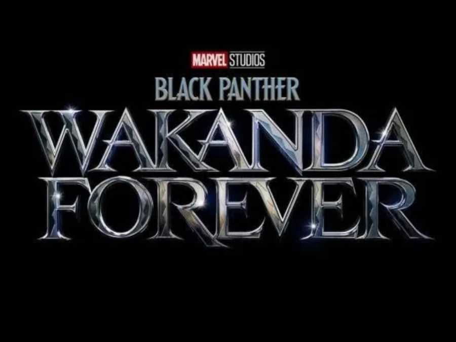 "Black Panther: Wakanda Forever" is the final film in Phase Four of the Marvel Cinematic Universe. The film was released in theaters on Nov. 11.