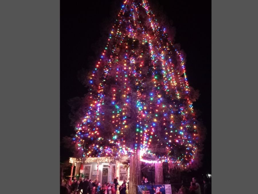Old+Town+Elk+Grove+celebrates+its+annual+Christmas+Tree+Lighting+and+the+35th+Annual+Dickens+Street+Faire+on+Saturday.+Families+are+crowded+around+the+tree+and+enjoying+the+ceremony.