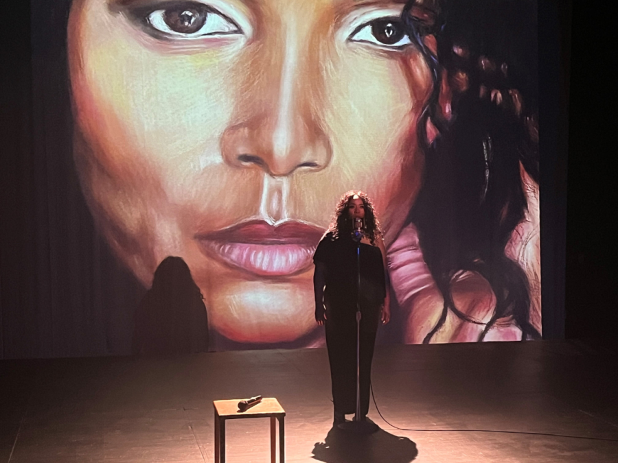 The "Domestic Disturbance" concept album fundraiser occurred on Friday and involved Sacramento singer Carla Fleming. Fleming performed songs from her album, which carried strong themes revolving around domestic violence.