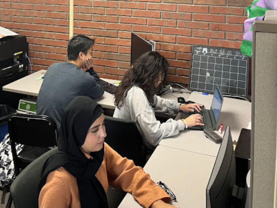 The TRIO program peer mentors are dedicated to helping students achieve their goals. TRIO SSS Peer mentors Adela Lalzai (front), Haley Ventura (middle) and Hung Vo (back left) are seen working in the TRIO center.