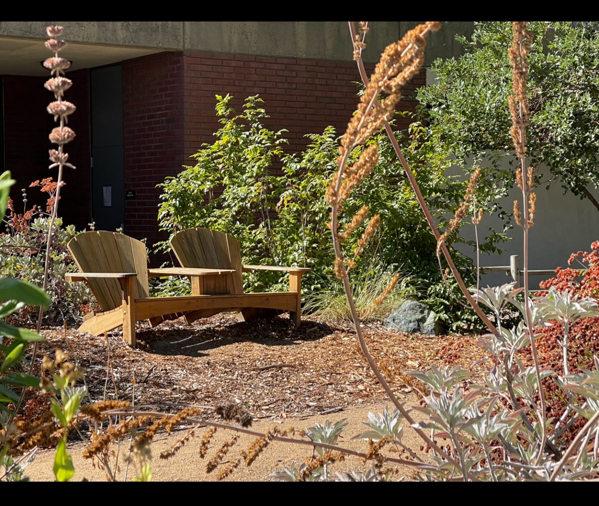 The California Native Plant Garden is near the Science Building and home to over 25 species of plants. The garden was remodeled in 2010 and has over 200 plants installed.