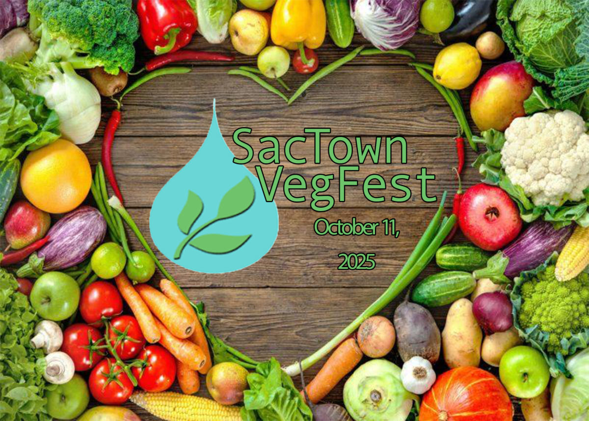 SacTown VegFest is an annual vegan festival taking place on Cosumnes River College campus on Saturday. The festival welcomes everyone and will promote new ways of thinking about the impacts of diet.